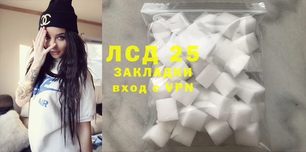 PSILOCYBIN Медвежьегорск