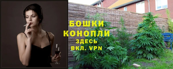ГАЛЛЮЦИНОГЕННЫЕ ГРИБЫ Медногорск