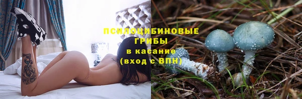 PSILOCYBIN Медвежьегорск