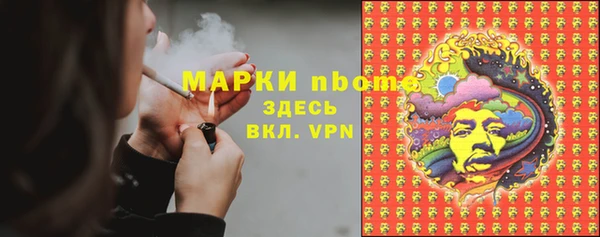 ГАЛЛЮЦИНОГЕННЫЕ ГРИБЫ Медногорск